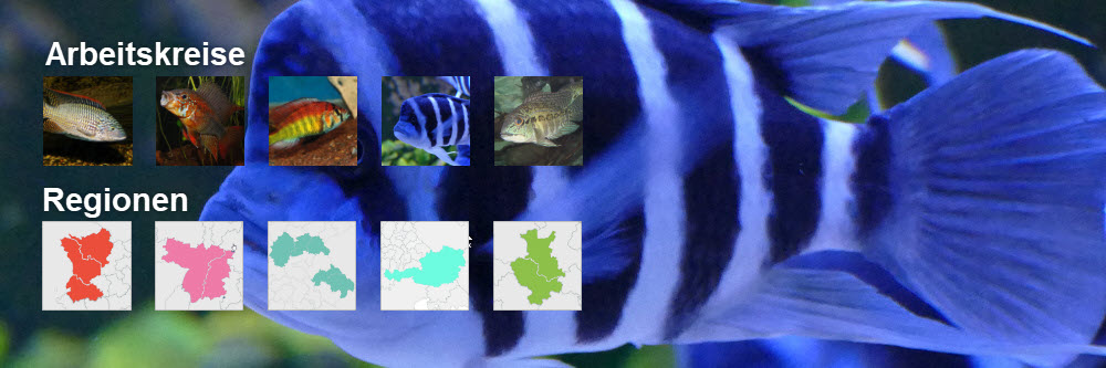 DCG_slider_startseite_06_2021-b