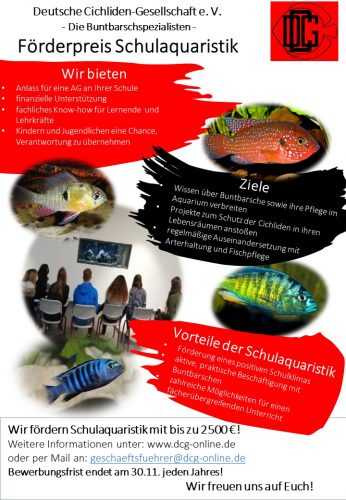 deutsche cichlidengesellschaft ev plakat schulaquaristik 2022