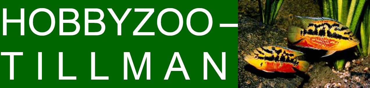 logo hobbyzoo tillmann