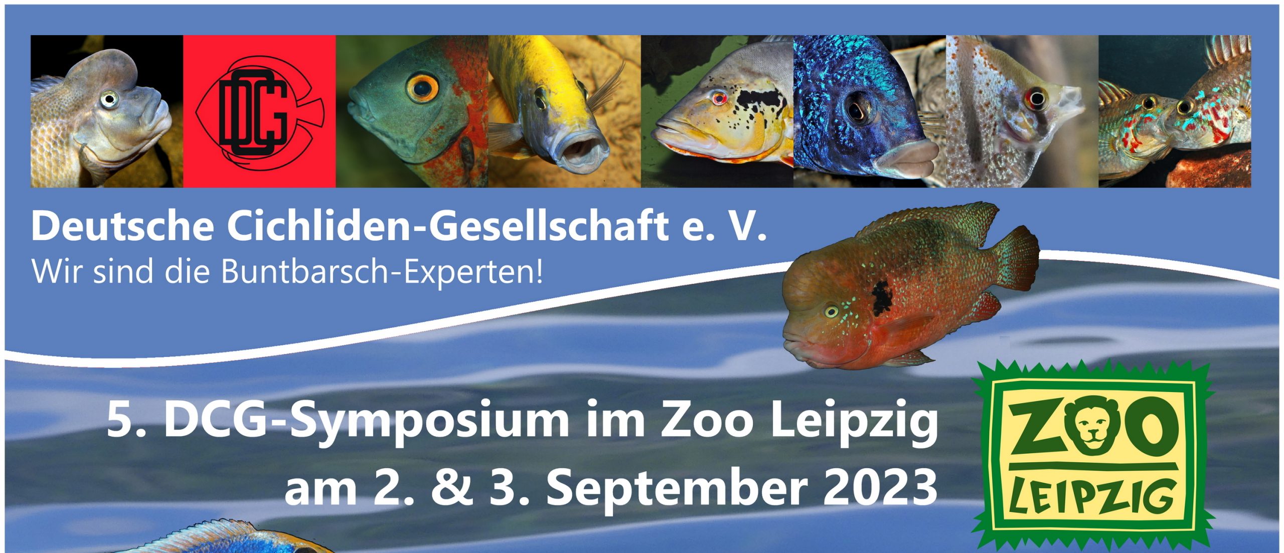 beitragsbild Druckversion für Zeitung Symposium Leipzig 02 09 2023 Poster Programm A0 ueberarbeitet 230329