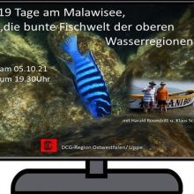Nachlese Videokonferenz vom 5.10.2021 – Klaus Schmitz & Harald Rosentritt Malawisee