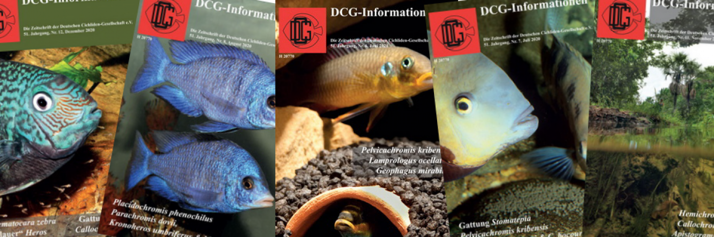 Unsere Vereinszeitschrift - Die DCG-Informationen
