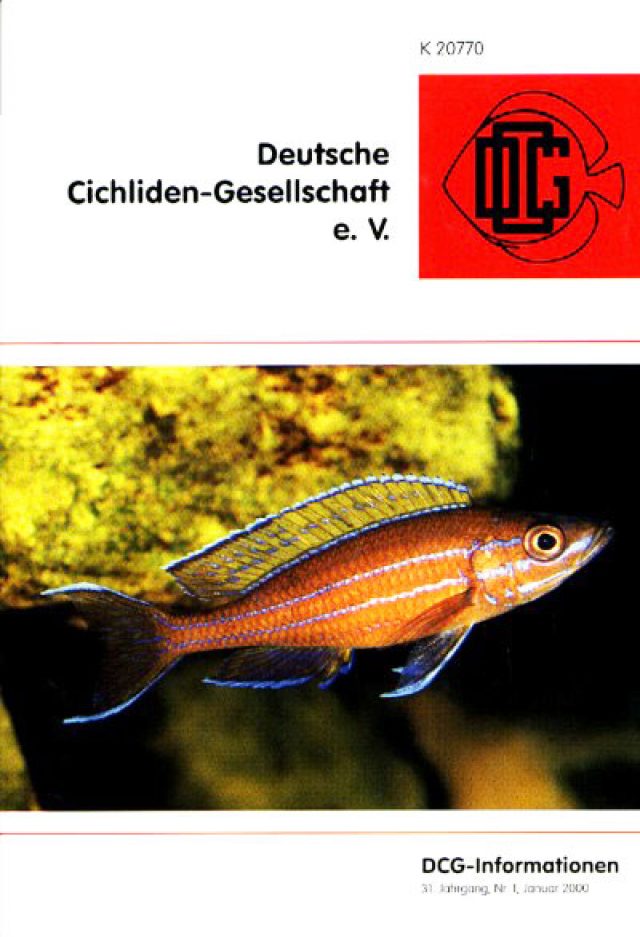 DCGInformationen 01/2000Deutsche CichlidenGesellschaft e.V.