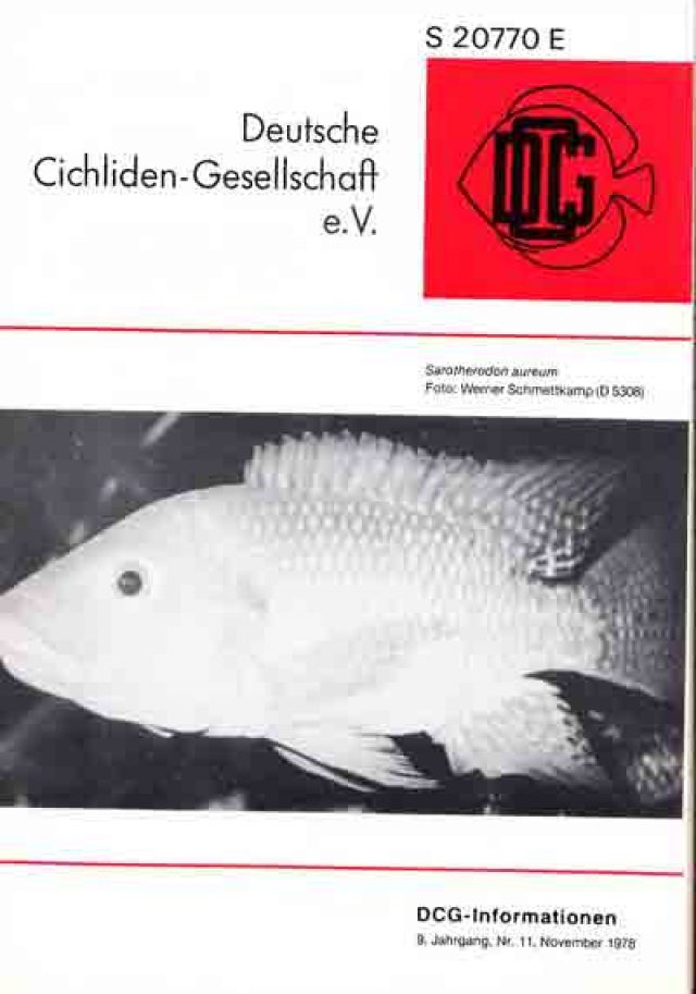 DCGInformationen 11/1978 Deutsche CichlidenGesellschaft e.V.