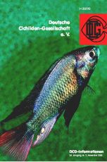 11/2005