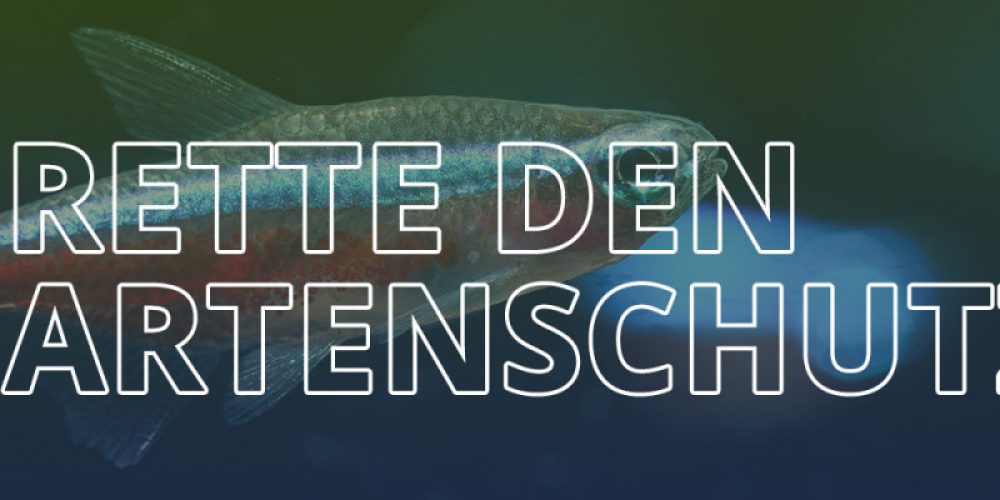 DCG unterstützt ausdrücklich die VDA-Kampange ‚Rettet den Artenschutz‘