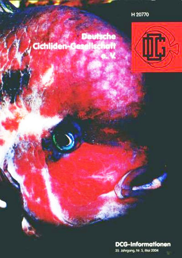 05/2004