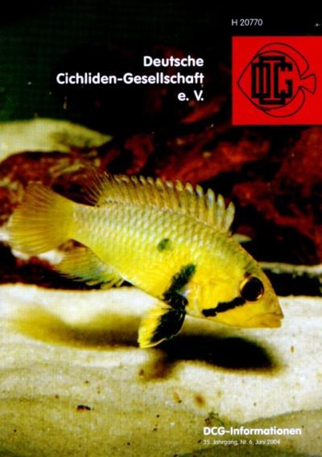 06/2004