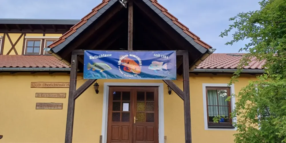 Frühjahrstagung des DCG AK Großcichliden