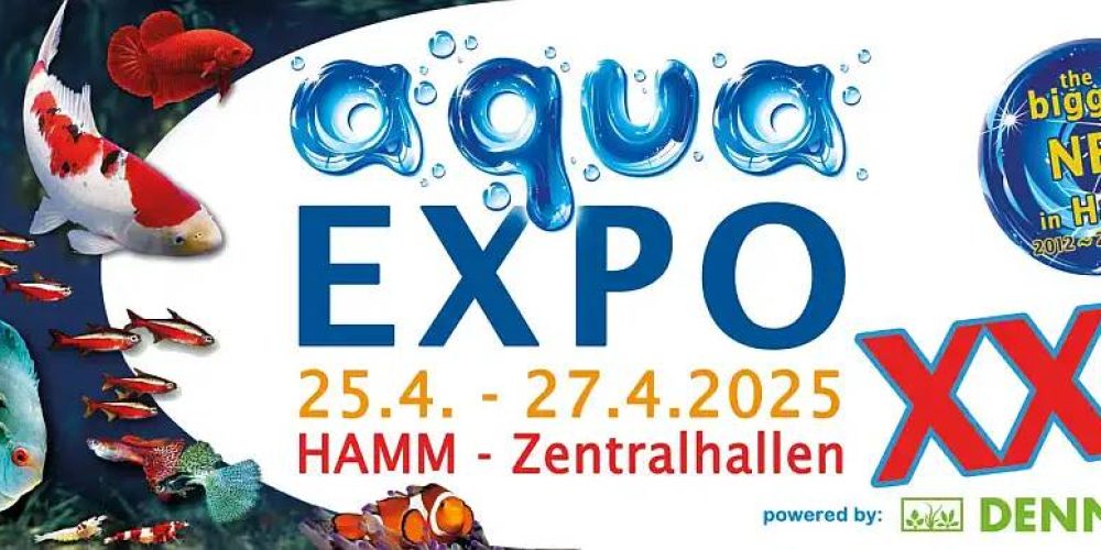DCG e. V. auf der Aqua Expo XXL 2025 in Hamm