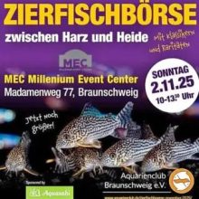 DCG auf der Harz und Heide Börse in Braunschweig am 2.11.2025