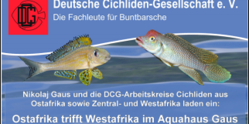 Treffen DCG AKs bei AquaHaus Gaus am 21.3.2026
