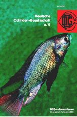 11/2005
