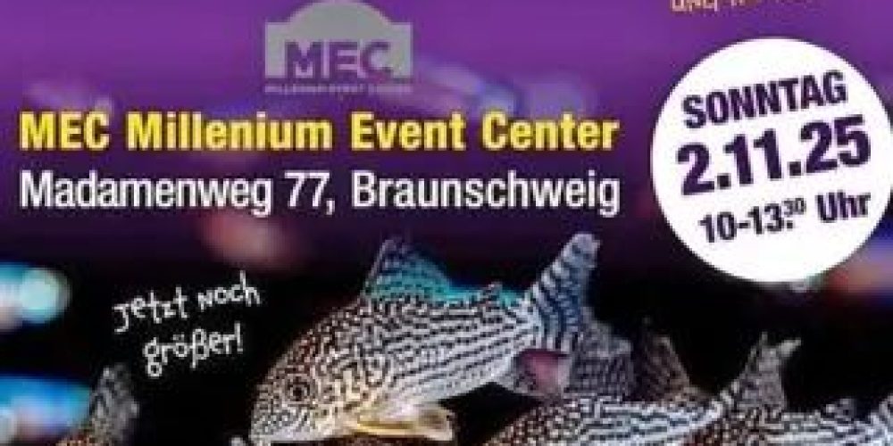 DCG auf der Harz und Heide Börse in Braunschweig am 2.11.2025