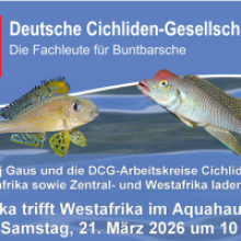 Treffen DCG AKs bei AquaHaus Gaus am 21.3.2026