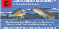 Treffen DCG AKs bei AquaHaus Gaus am 21.3.2026